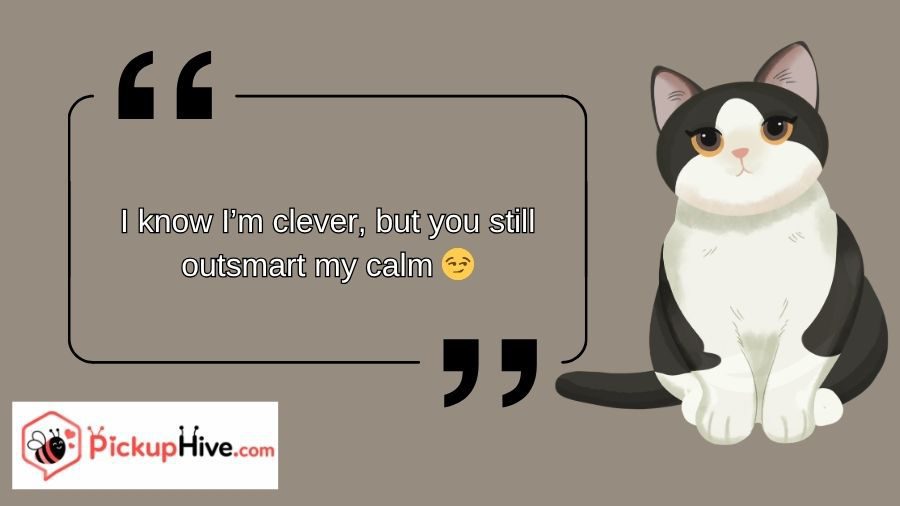 Cat Rizz Lines