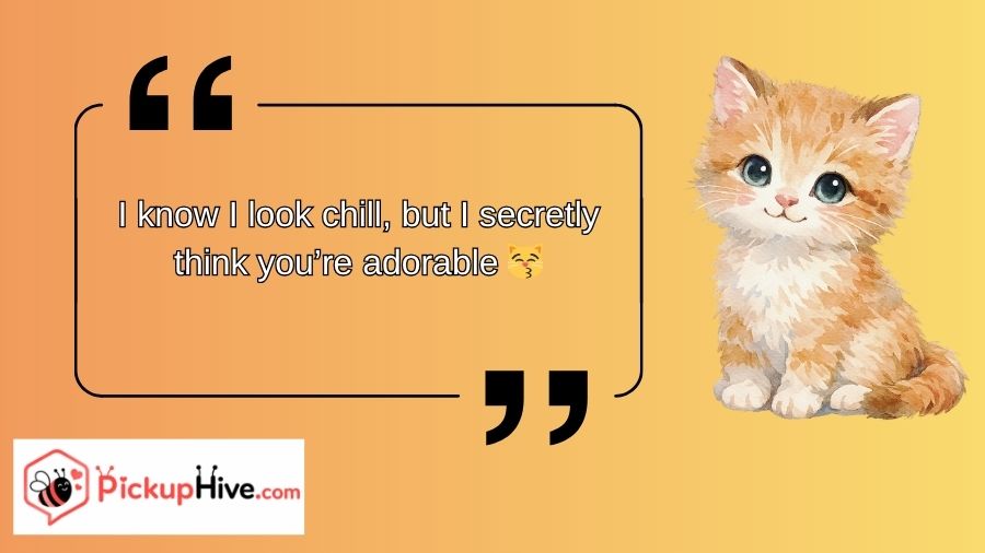 Cat Rizz Lines