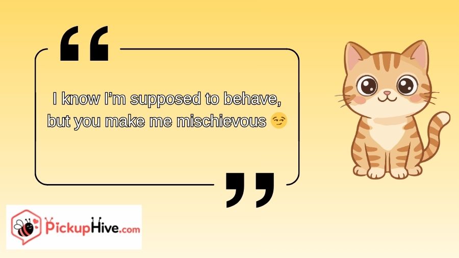 Cat Rizz Lines