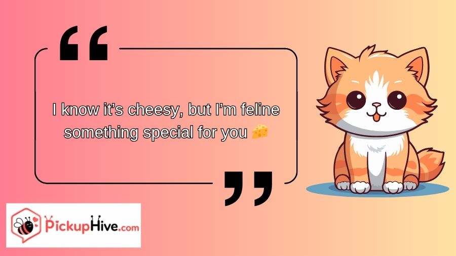 Cat Rizz Lines