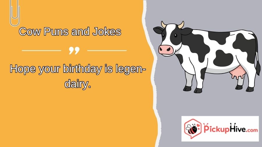 Cow Puns and Jokes