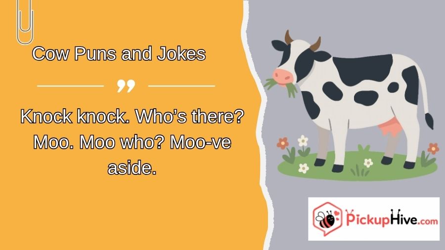 Cow Puns and Jokes
