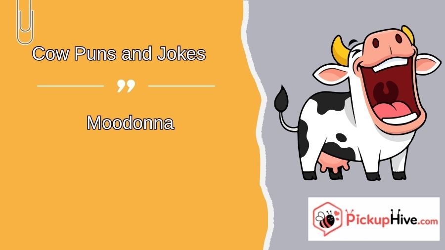 Cow Puns and Jokes