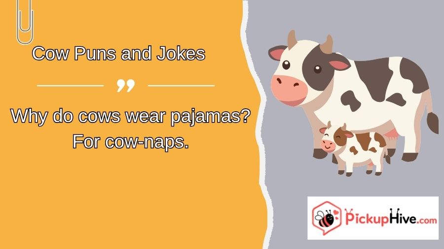 Cow Puns and Jokes