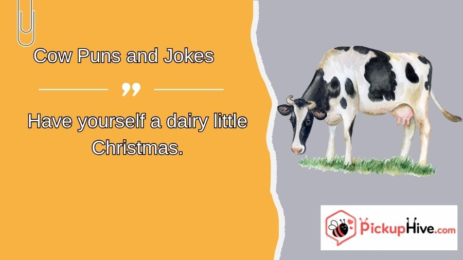 Cow Puns and Jokes