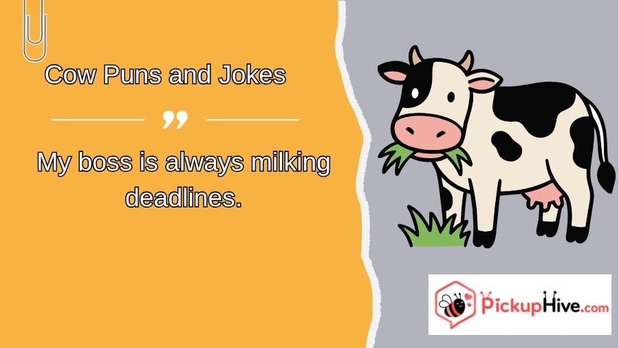 Cow Puns and Jokes