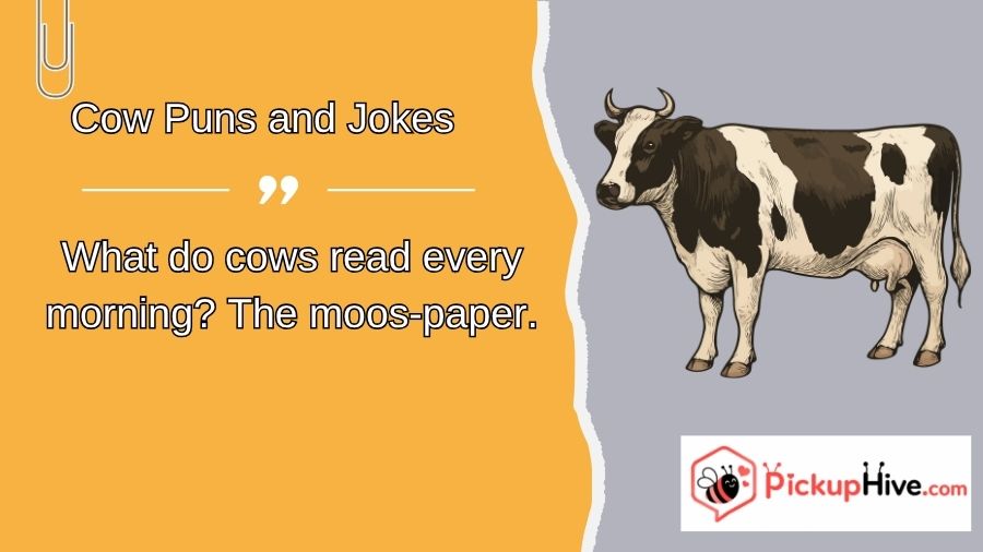 Cow Puns and Jokes