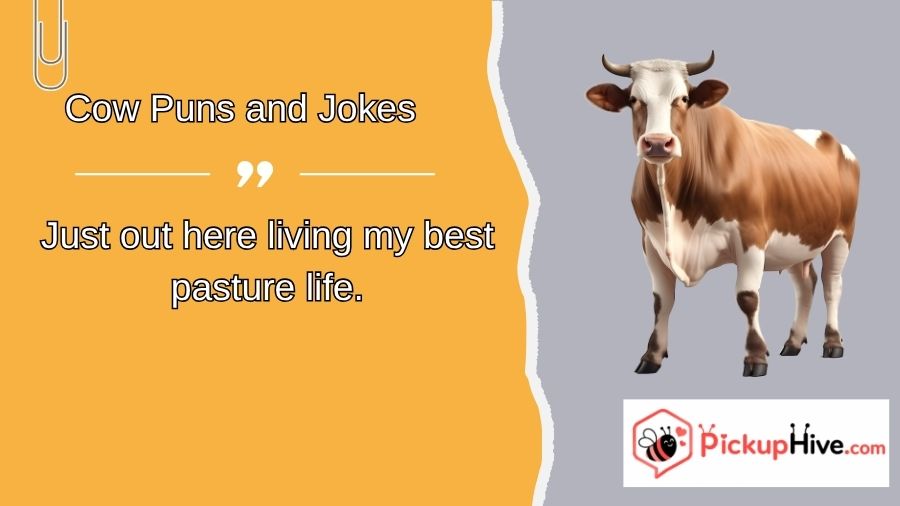 Cow Puns and Jokes
