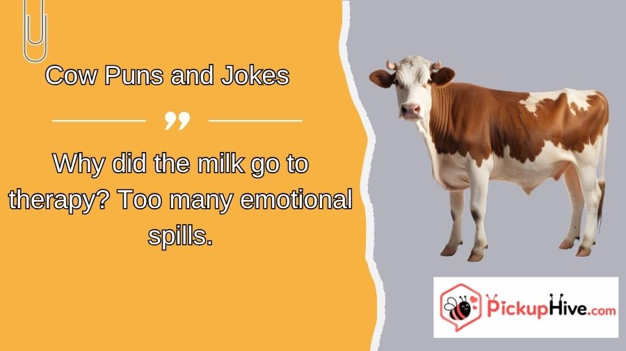 Cow Puns and Jokes