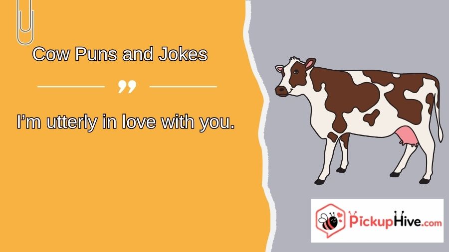 Cow Puns and Jokes