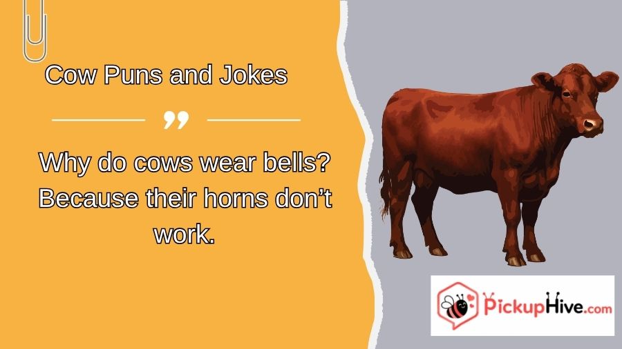 Cow Puns and Jokes
