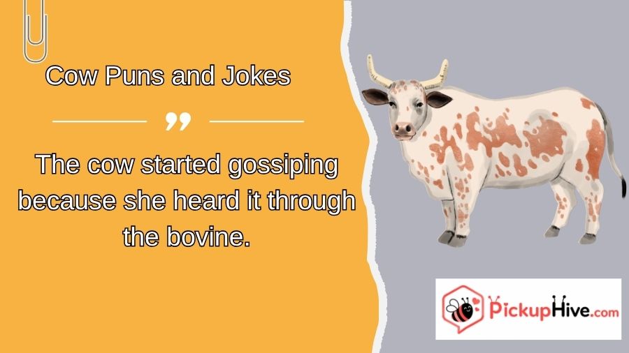 Cow Puns and Jokes