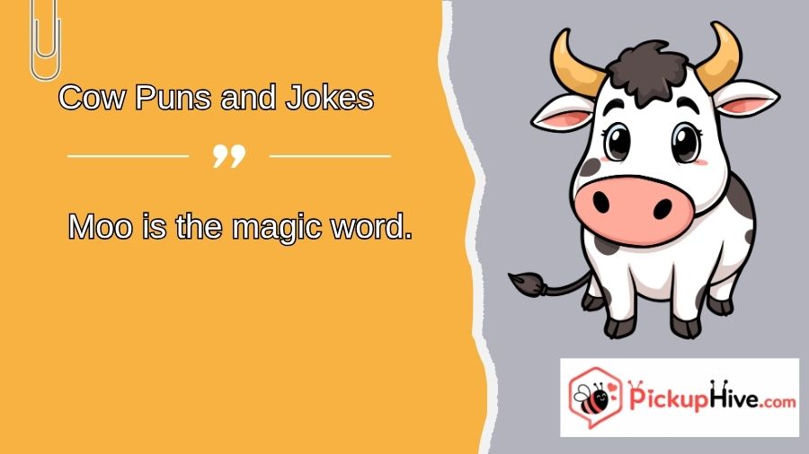 Cow Puns and Jokes