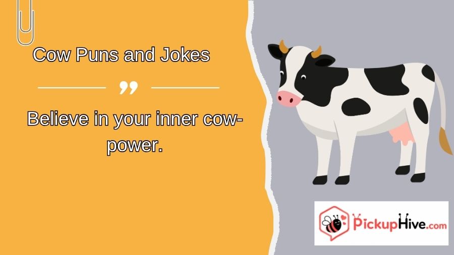 Cow Puns and Jokes
