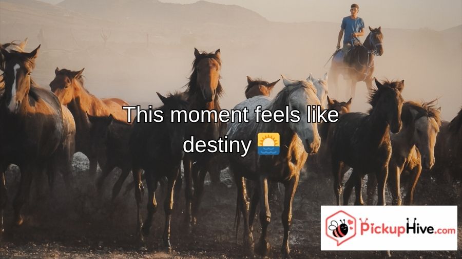 Cowboy Pick Up Lines