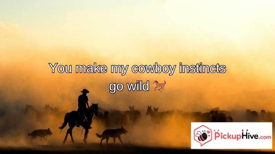 Cowboy Pick Up Lines