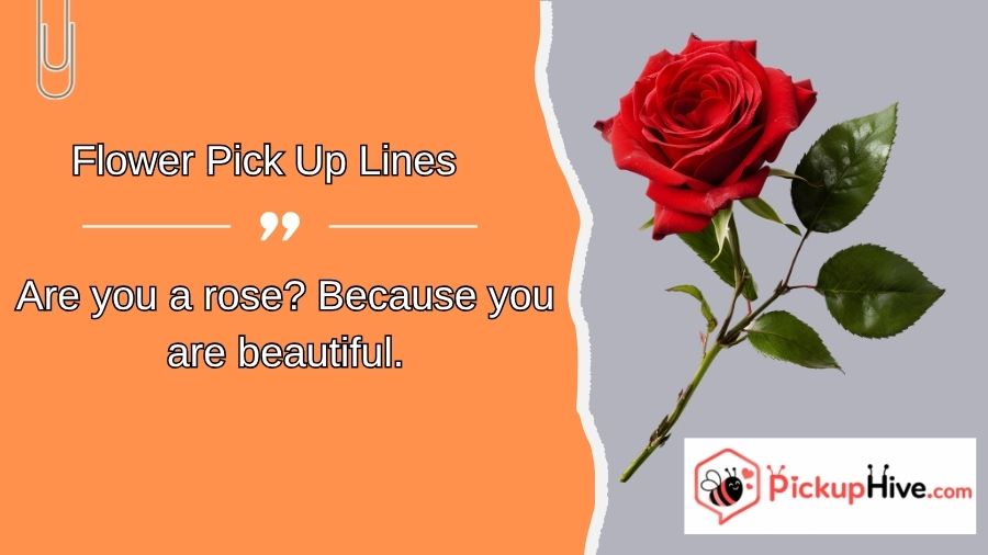 Flower Pick Up Lines