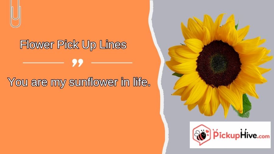 Flower Pick Up Lines