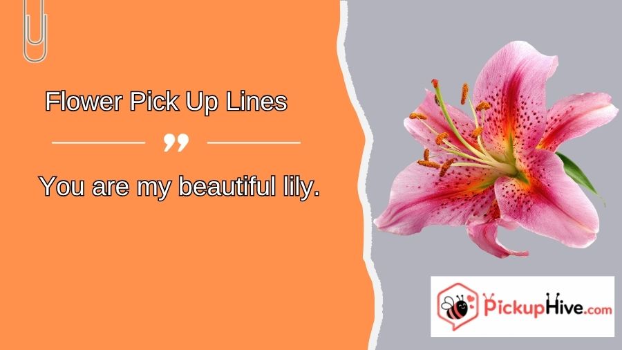 Flower Pick Up Lines
