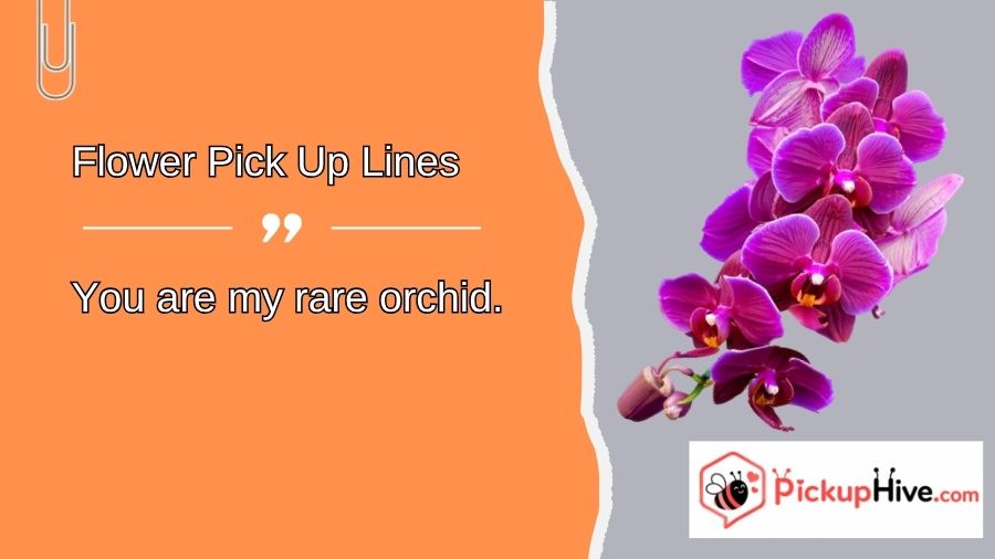 Flower Pick Up Lines