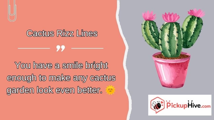 Cactus Rizz Lines
