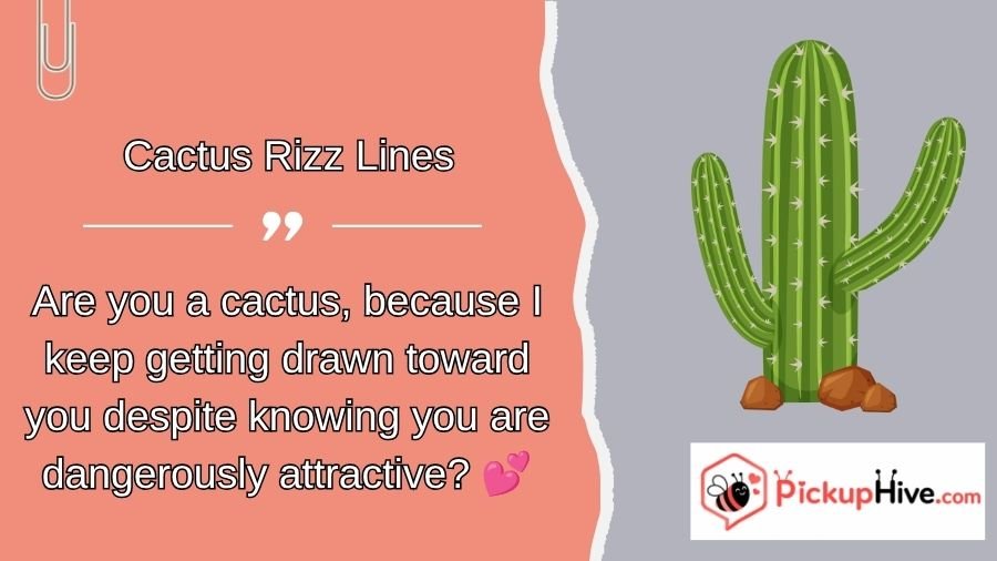Cactus Rizz Lines