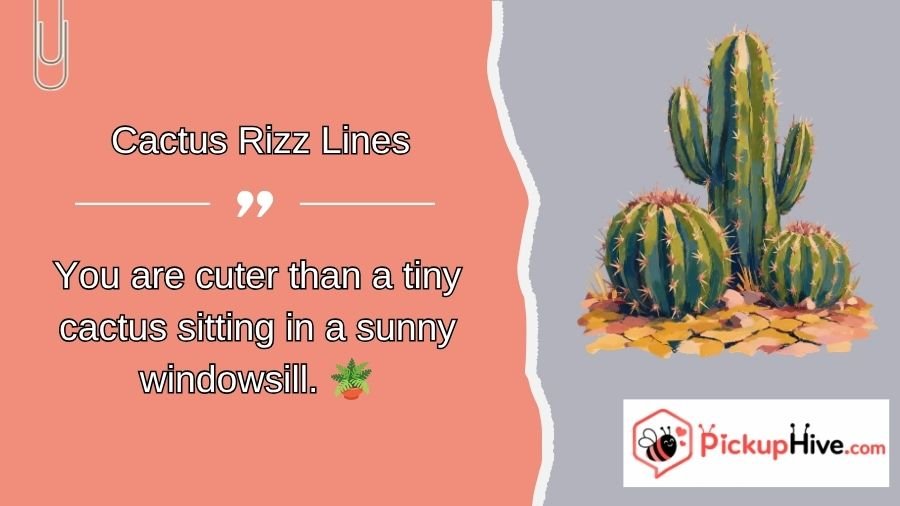 Cactus Rizz Lines