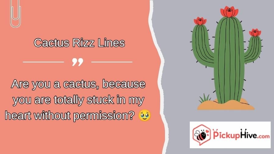 Cactus Rizz Lines