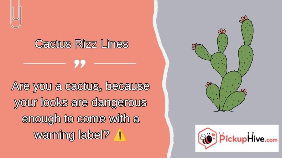 Cactus Rizz Lines