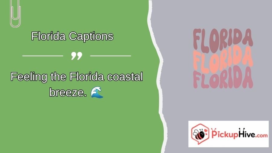 Florida Captions