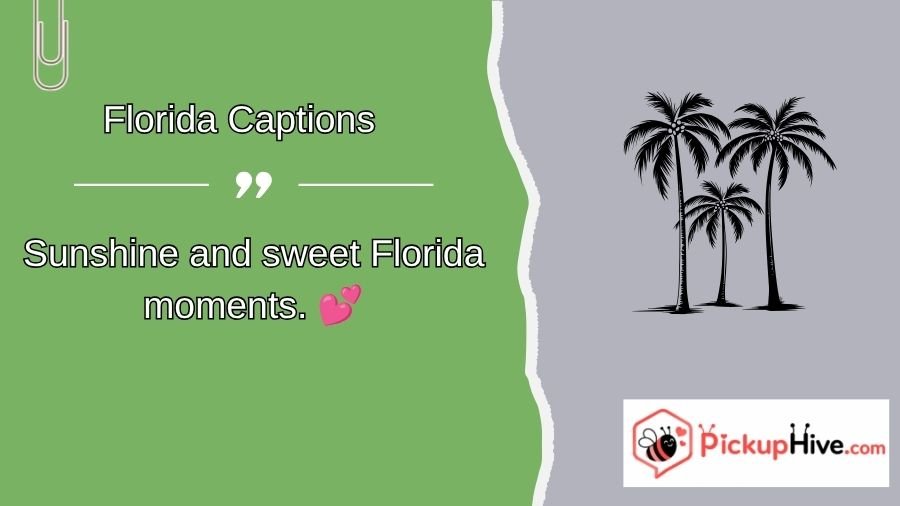 Florida Captions
