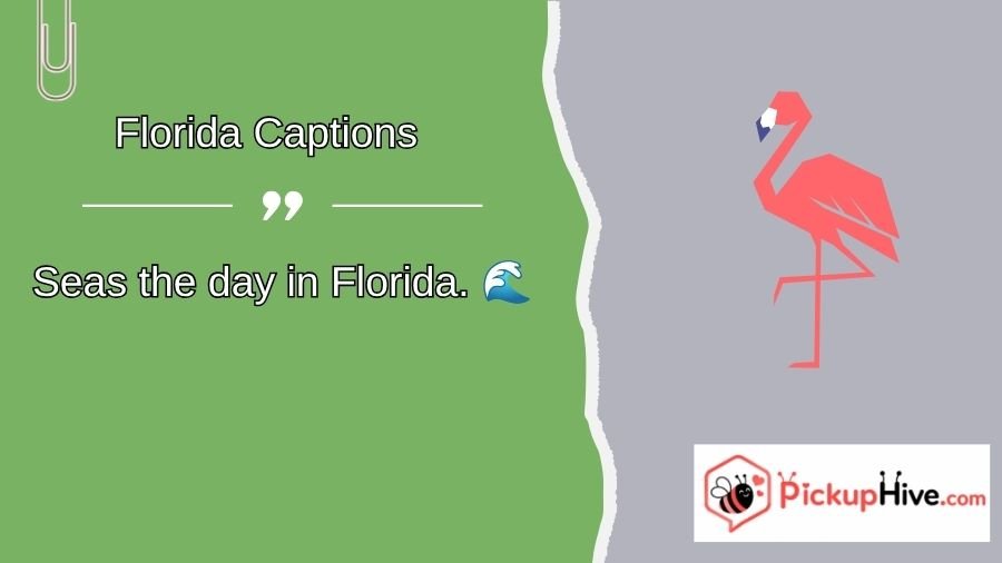 Florida Captions