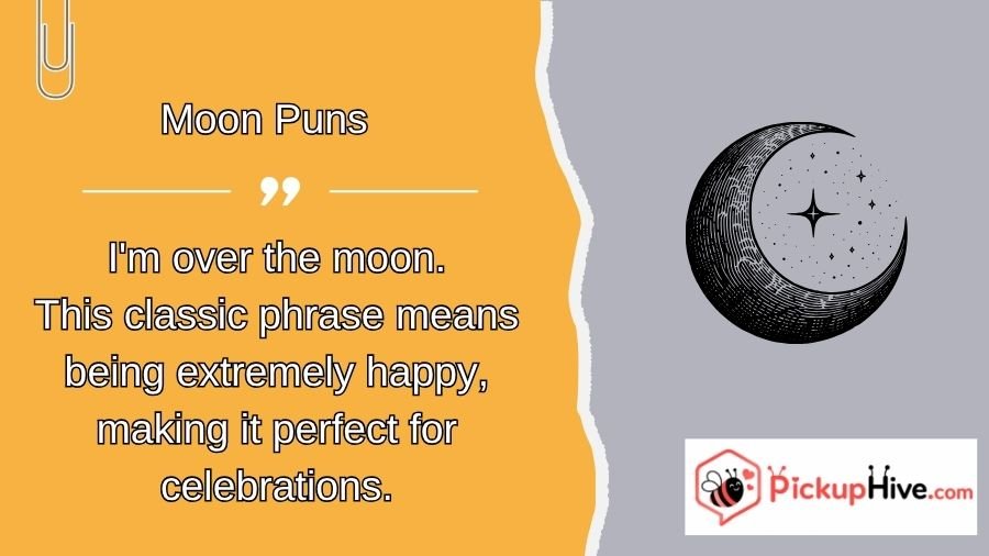 Moon Puns
