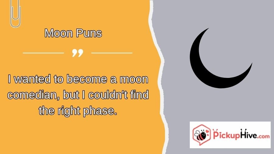 Moon Puns