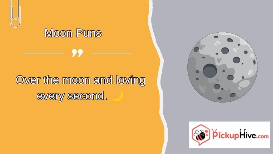 Moon Puns
