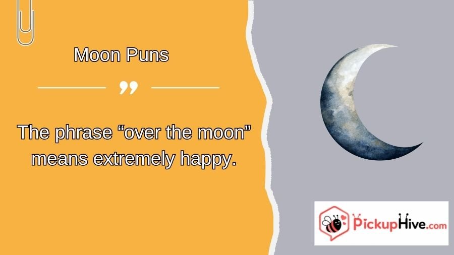 Moon Puns