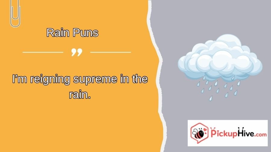 Rain Puns