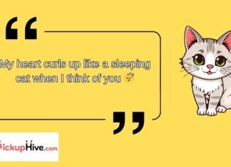 Cat Rizz Lines Cat Rizz Lines