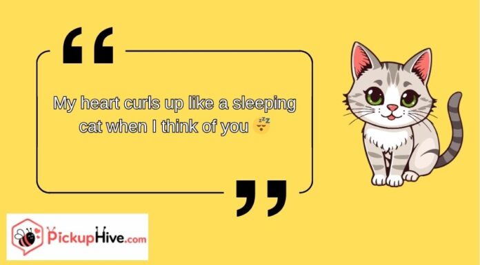 Cat Rizz Lines Cat Rizz Lines