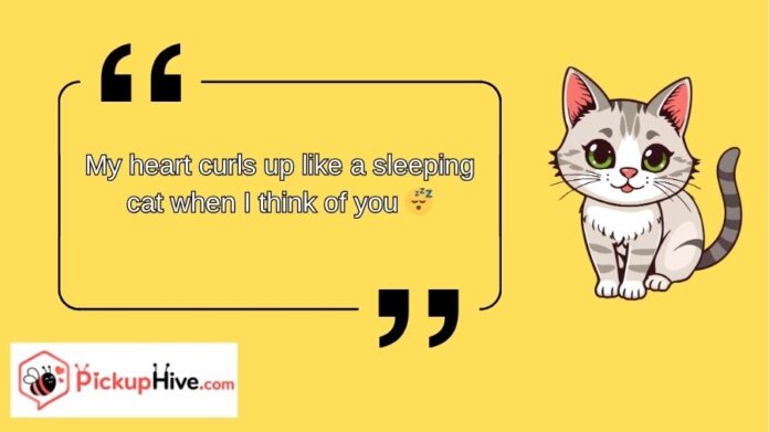 Cat Rizz Lines Cat Rizz Lines