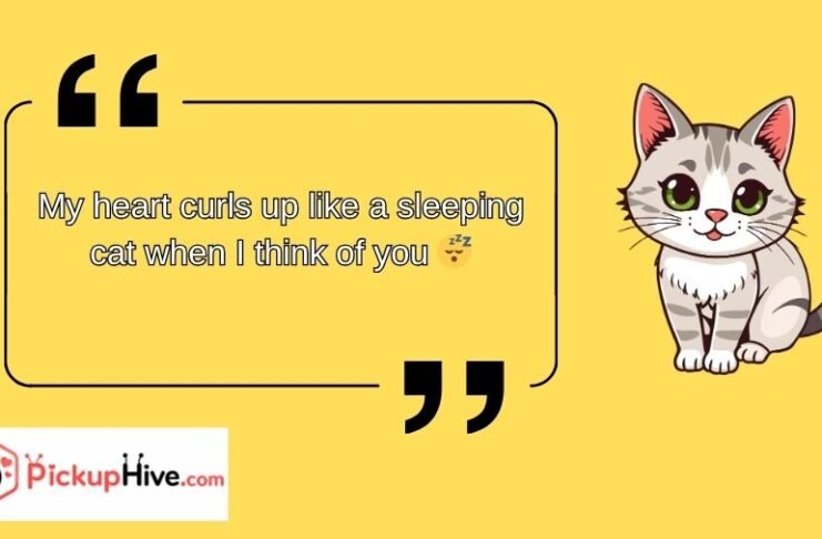 Cat Rizz Lines Cat Rizz Lines