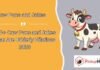 Cow Puns and Jokes Cow Puns and Jokes