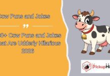 Cow Puns and Jokes Cow Puns and Jokes