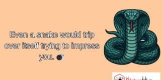 Snake Rizz Lines Snake Rizz Lines