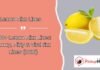 Lemon Rizz Lines Lemon Rizz Lines