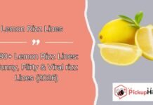 Lemon Rizz Linesย Lemon Rizz Linesย