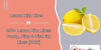 Lemon Rizz Lines Lemon Rizz Lines