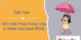 Rain Puns Rain Puns