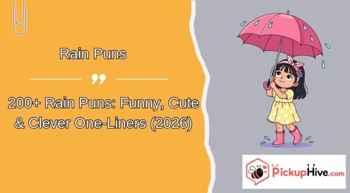 Rain Puns Rain Puns