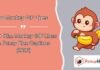 Rizz Monkey GIF Rizz Monkey GIF